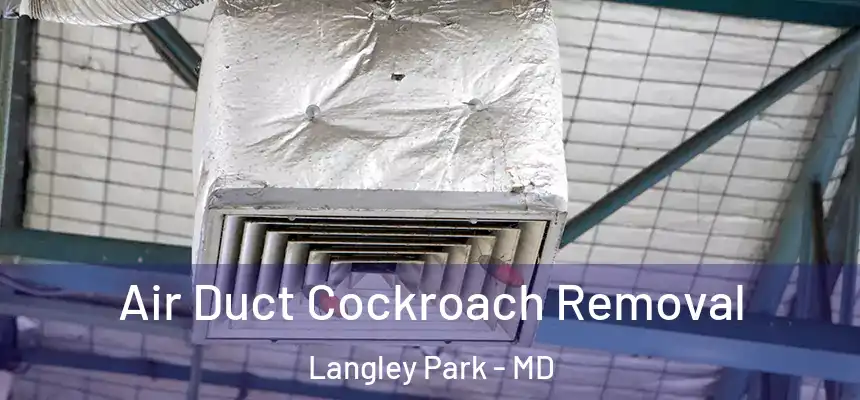 Air Duct Cockroach Removal Langley Park - MD