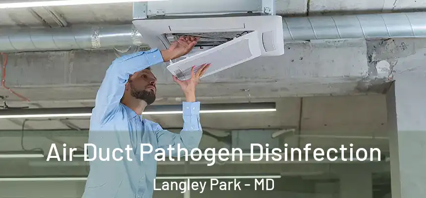 Air Duct Pathogen Disinfection Langley Park - MD