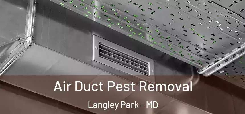 Air Duct Pest Removal Langley Park - MD