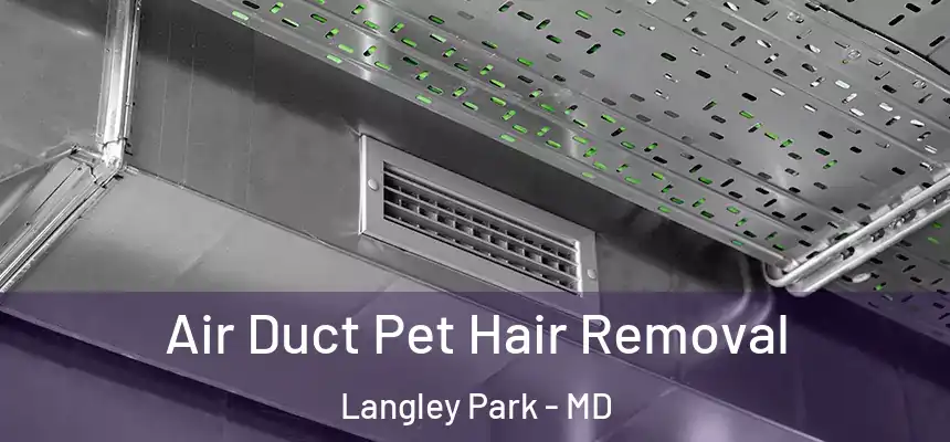Air Duct Pet Hair Removal Langley Park - MD