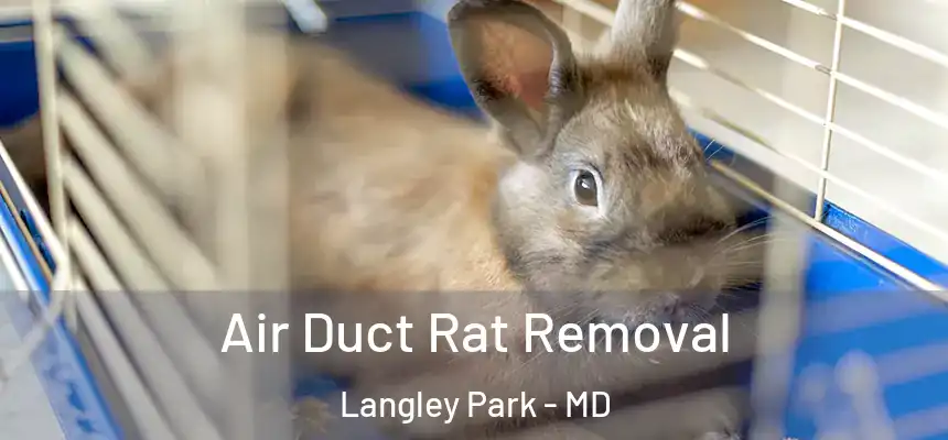 Air Duct Rat Removal Langley Park - MD