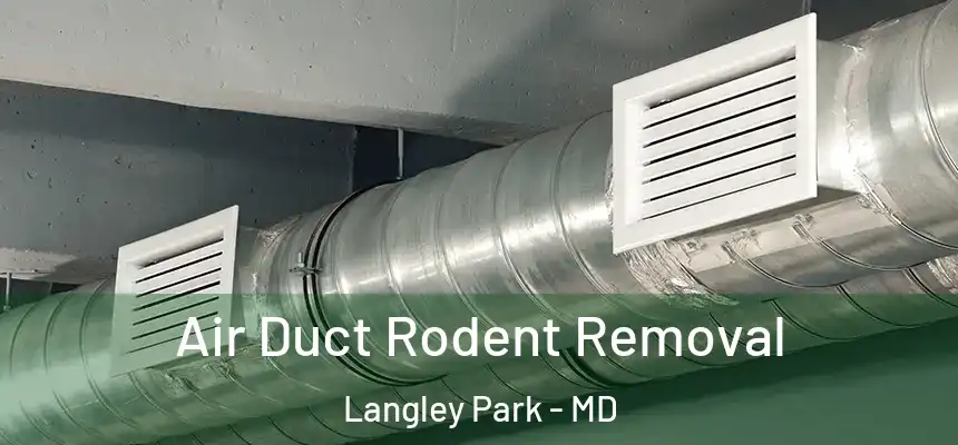  Air Duct Rodent Removal Langley Park - MD