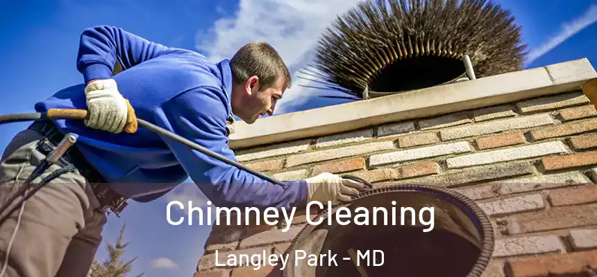 Chimney Cleaning Langley Park - MD