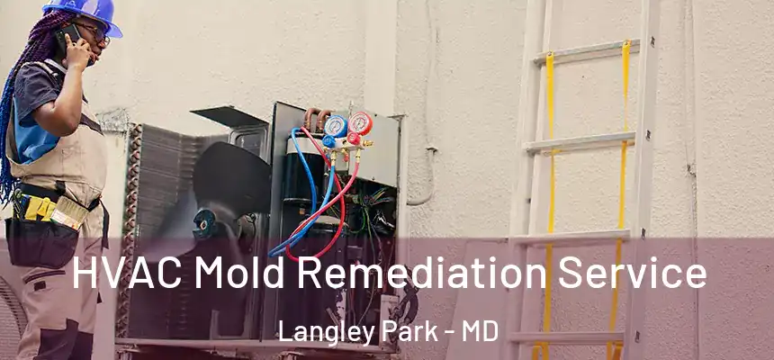 HVAC Mold Remediation Service Langley Park - MD