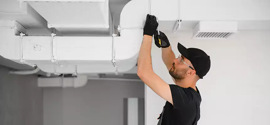 Our Air Duct Cleaning Services in Langley Park, MD