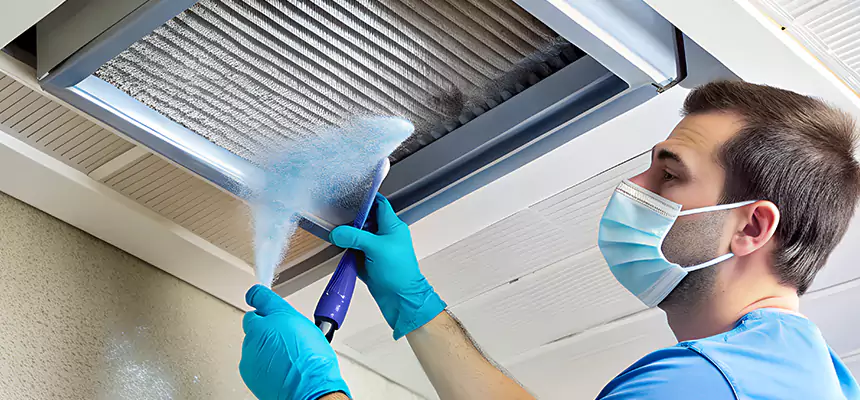 Proactive Dryer Vent & Auxiliary Duct Pollen Cleanup in Langley Park, MD