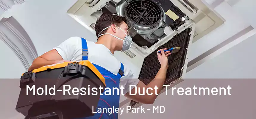  Mold-Resistant Duct Treatment Langley Park - MD