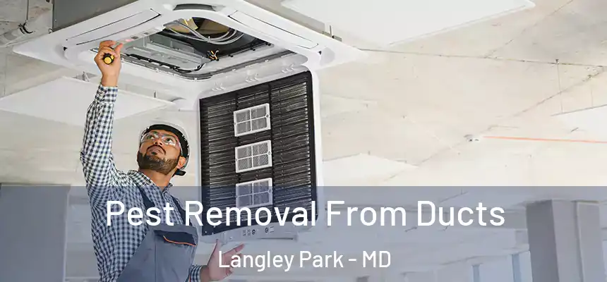 Pest Removal From Ducts Langley Park - MD