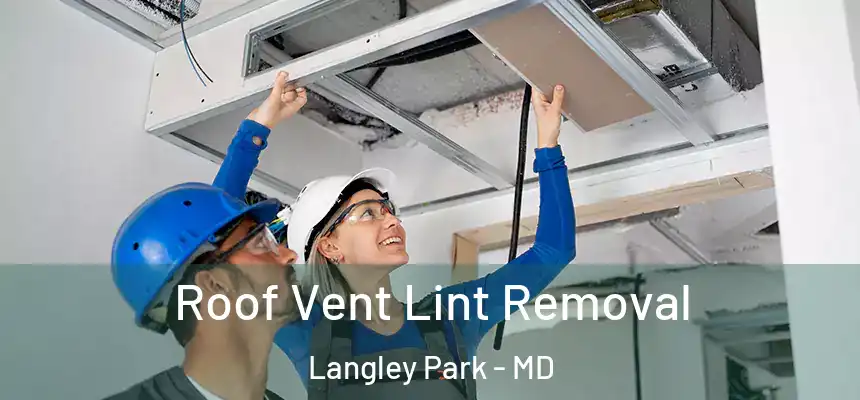 Roof Vent Lint Removal Langley Park - MD