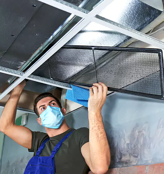 Professional Air Duct Pollen Cleaning in Langley Park, MD