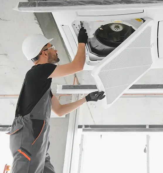 About Air Duct Rodent Removal in Langley Park, MD