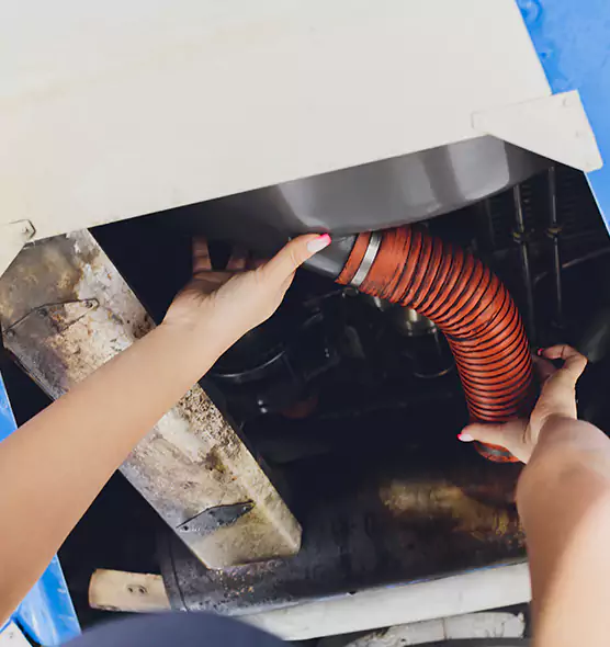 About Air Duct Virus Disinfection in Langley Park, MD