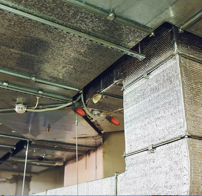 Why Homeowners & Businesses Trust Us in Langley Park, MD?