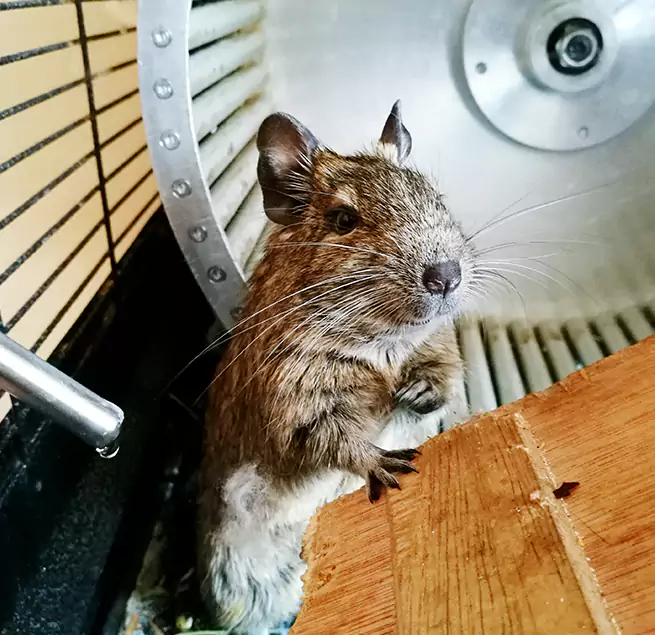 Why Homeowners & Businesses Trust Us Langley Park, MD