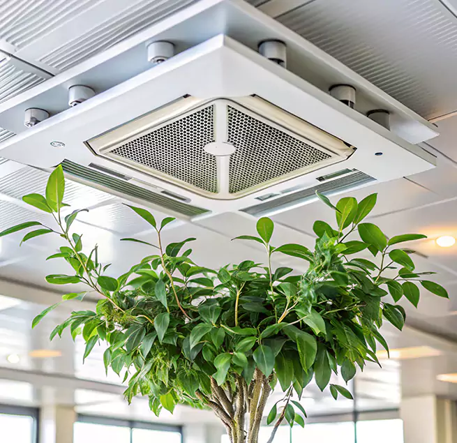 Why Homeowners & Businesses Trust Us in Langley Park, MD?