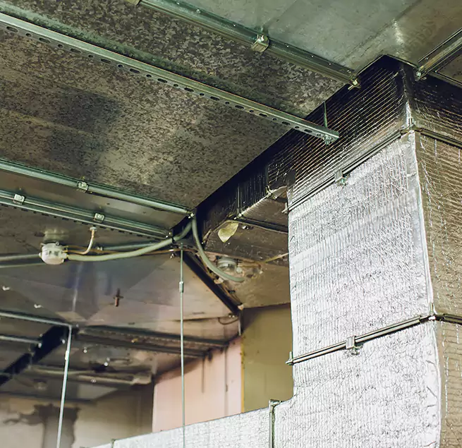 Why Homeowners & Businesses Trust Us in Langley Park, MD?